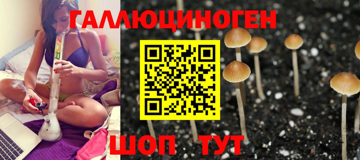 Псилоцибиновые грибы GOLDEN TEACHER  Вход с VPN  Аксай 